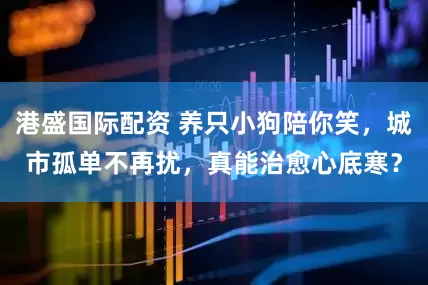 港盛国际配资 养只小狗陪你笑，城市孤单不再扰，真能治愈心底寒？