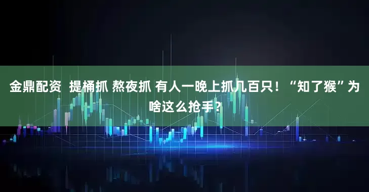 金鼎配资 提桶抓 熬夜抓 有人一晚上抓几百只!“知了猴”为啥这么抢手?