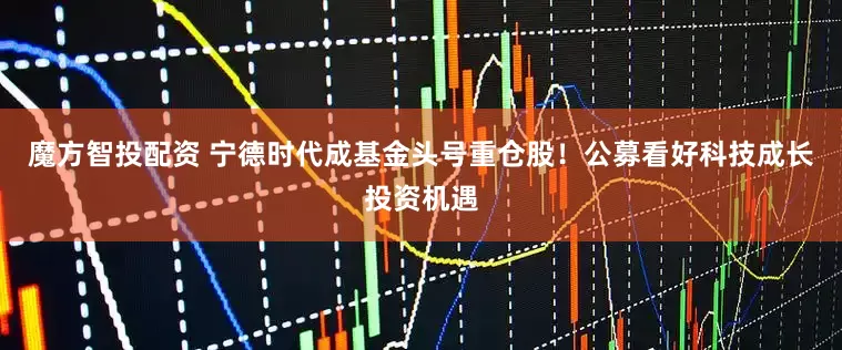 魔方智投配资 宁德时代成基金头号重仓股!公募看好科技成长投资机遇