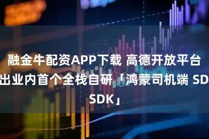 融金牛配资APP下载 高德开放平台推出业内首个全栈自研「鸿蒙司机端 SDK」